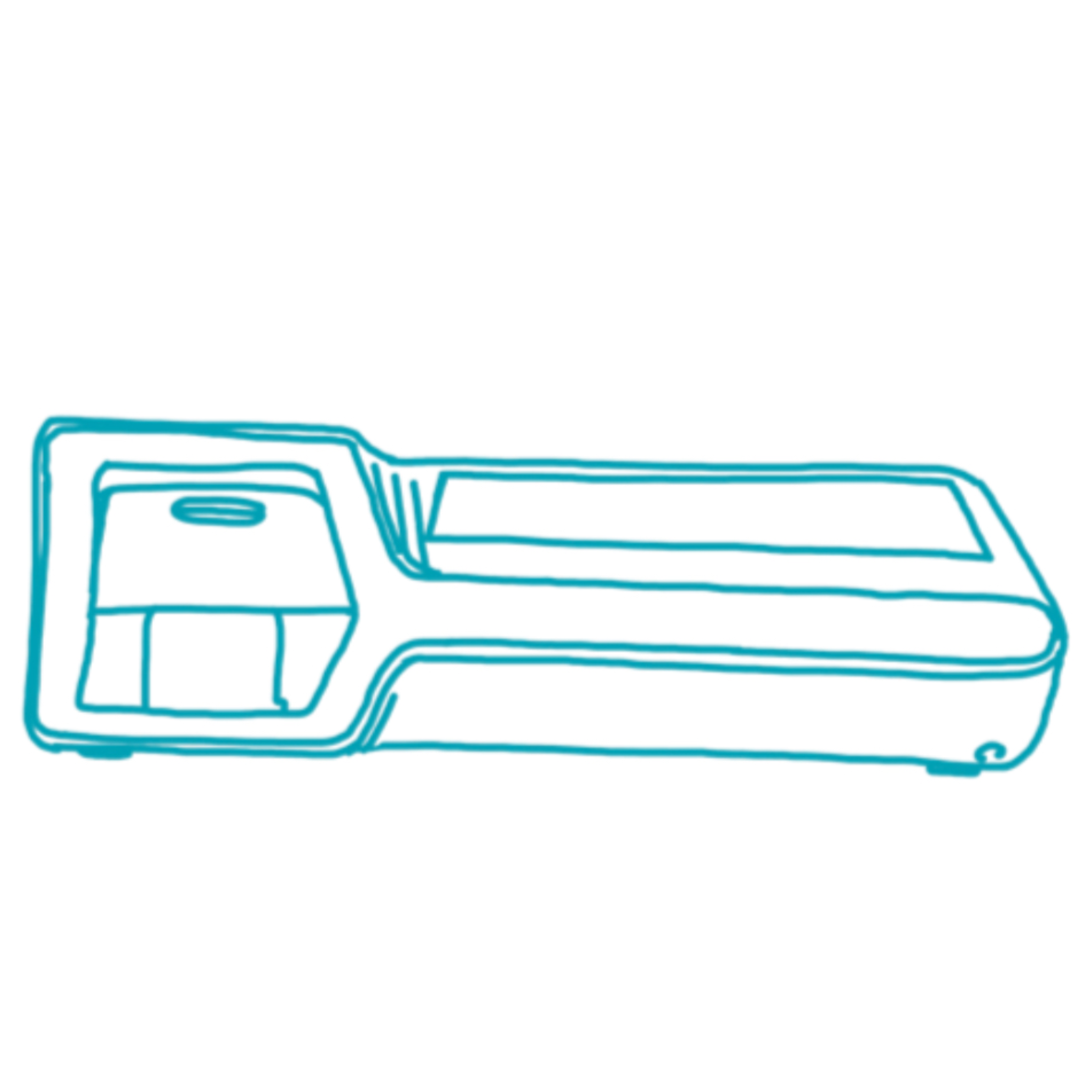 ichroma II Boditech (2).png